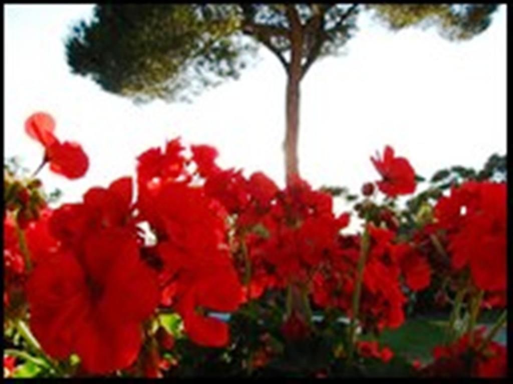 Bed and Breakfast La Tangana Rognes Exteriér fotografie